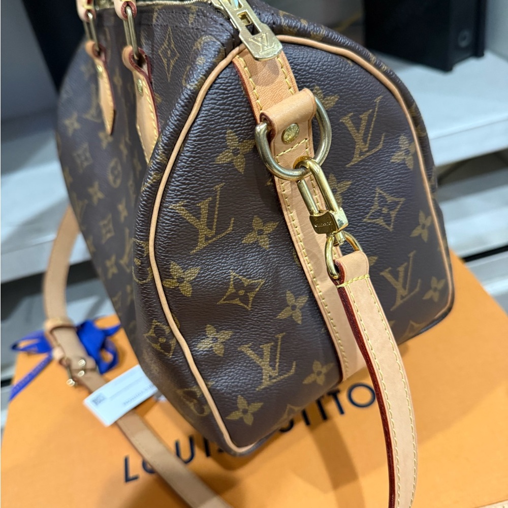 Louis Vuitton - Picture 7 of 14